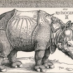 Albrecht Dürer